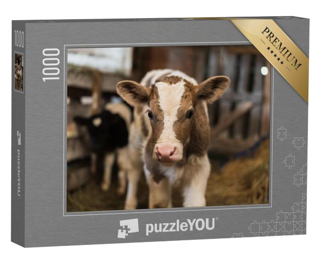 Puzzel 1000 stukjes „Schattig kalf in een gezellige stal“