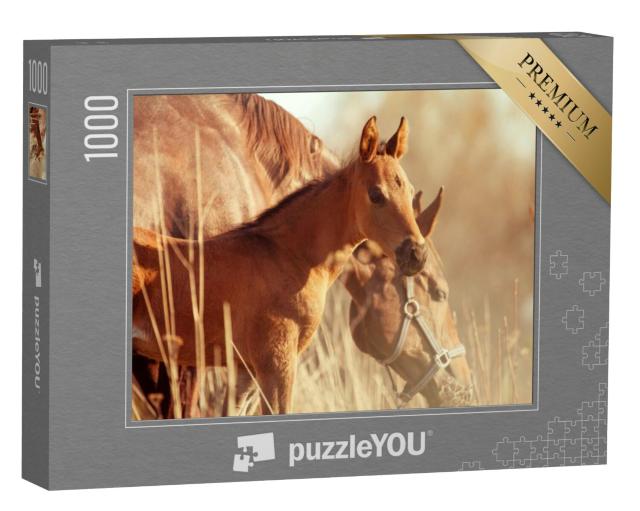 Puzzel 1000 stukjes „Merrie en veulen in de zonsondergang“