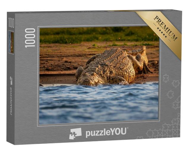 Puzzel 1000 stukjes „Nijlkrokodil aan de oever van de rivier opent zijn bek met grote tanden“