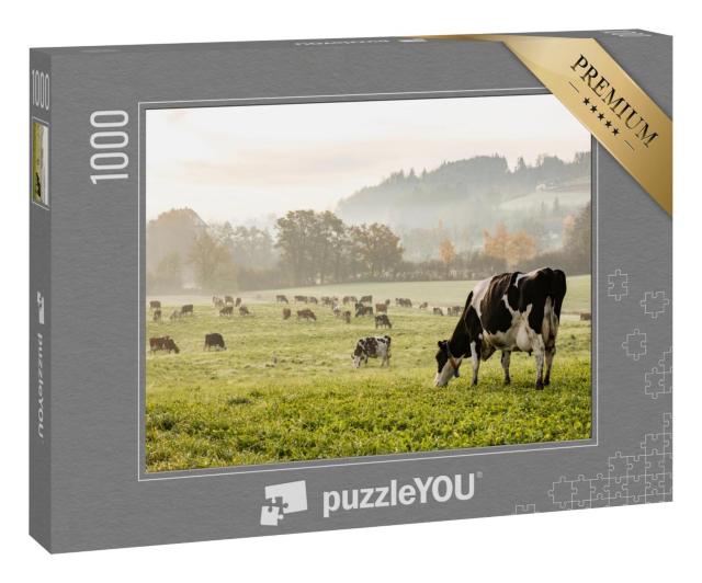 Puzzle 1000 Teile „Holsteinkühe an einem kalten Herbstmorgen auf einer Weide in der Schweiz“