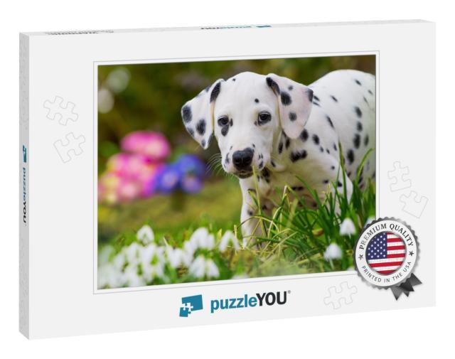 Dalmatian Puppy with Spring Flowers... Jigsaw Puzzle