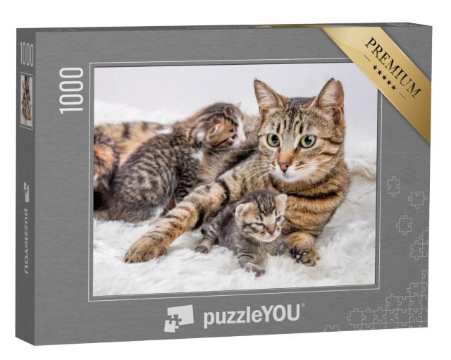 Puzzel 1000 stukjes „Moeder kat en kitten, kitten“