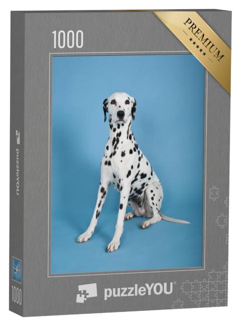 Puzzel 1000 stukjes „Dalmatiër“