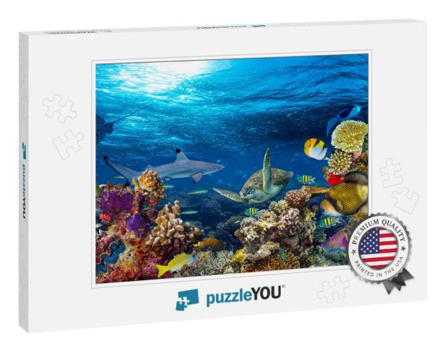 Underwater Coral Reef Landscape 16to9 Background in the D... Jigsaw Puzzle
