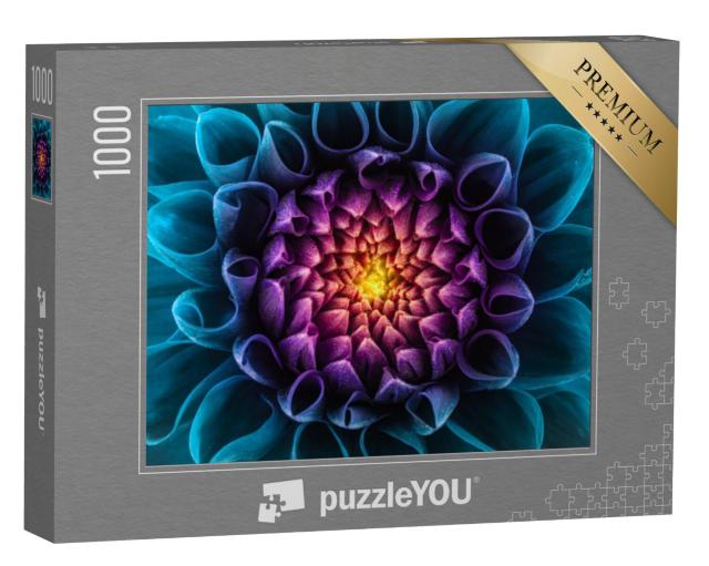 Puzzel 1000 stukjes „Paarse en blauwe chrysanten“