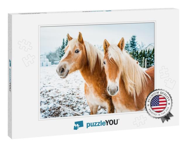 Haflinger Horses, Horse Couple Standing in Snow on a Cold... Jigsaw Puzzle