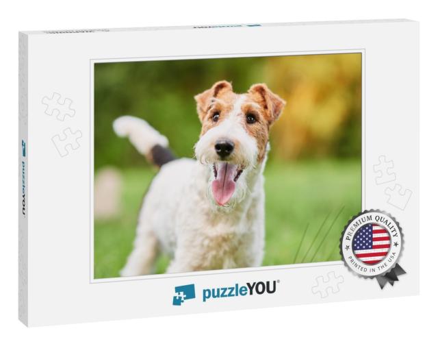Close Up Shot of a Happy Cute Fox Terrier Dog in the Park... Jigsaw Puzzle
