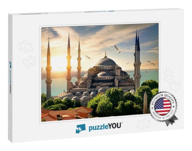 Seagulls Over Blue Mosque & Bosphorus in Istanbul, Turkey... Jigsaw Puzzle