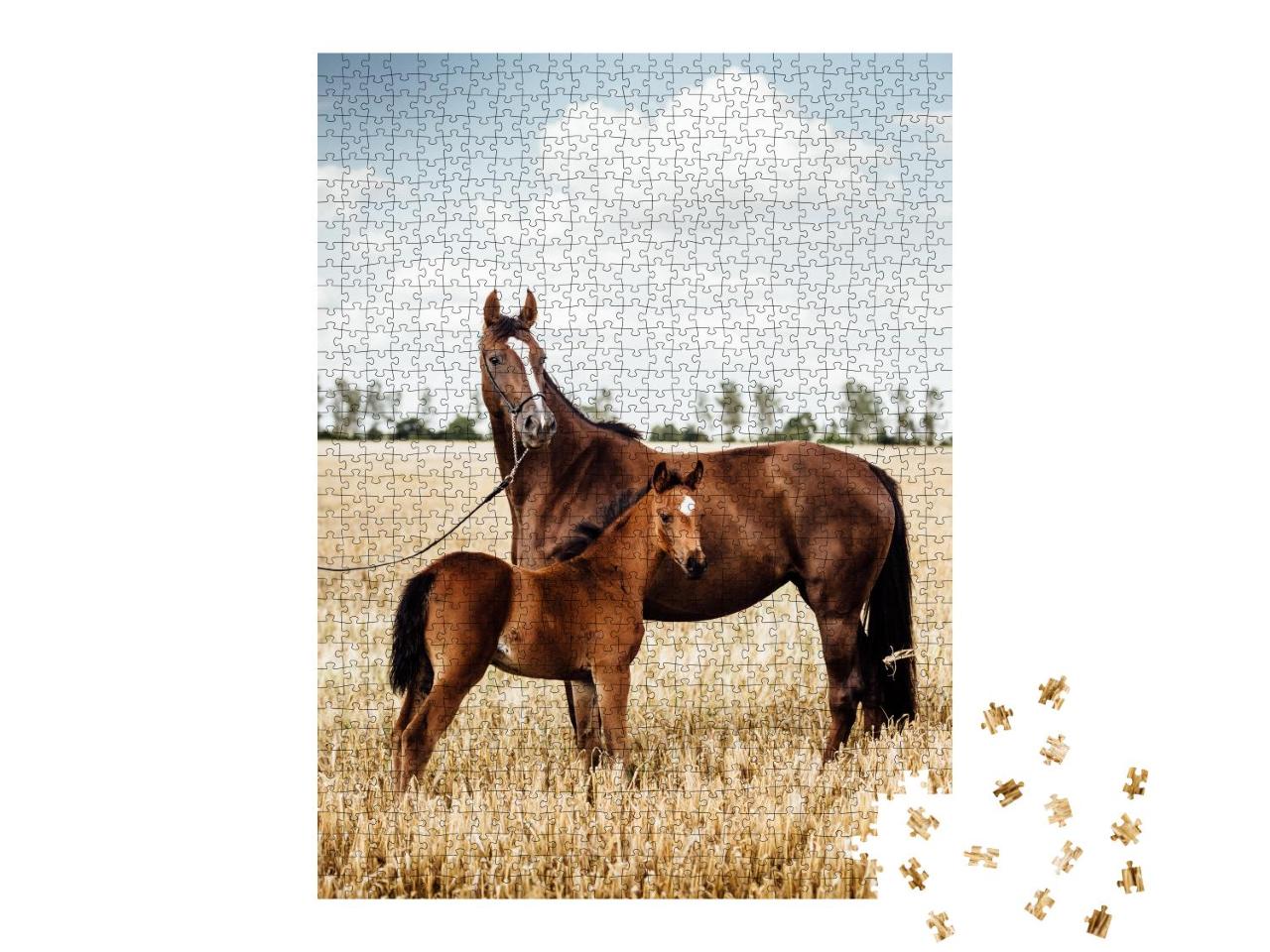 Puzzle 1000 Teile „Wunderschöne Fuchsstute mit Fohlen“