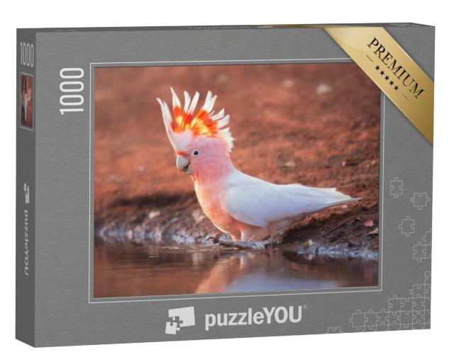 Puzzel 1000 stukjes „Wilde roze kaketoe“