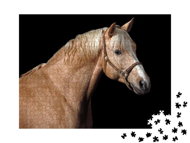 Puzzle 1000 Teile „Palomino Pferd“