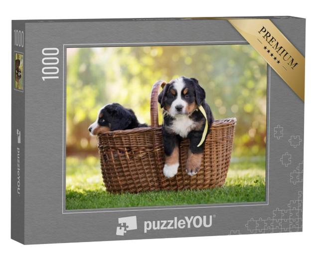 Puzzel 1000 stukjes „Berner Sennenhond in een mand buiten“