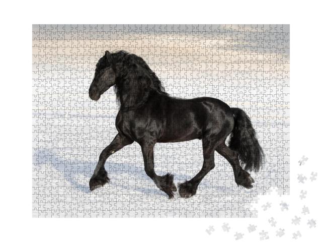 Puzzle 1000 Teile „Schwarzes friesisches Pferd im Schnee“