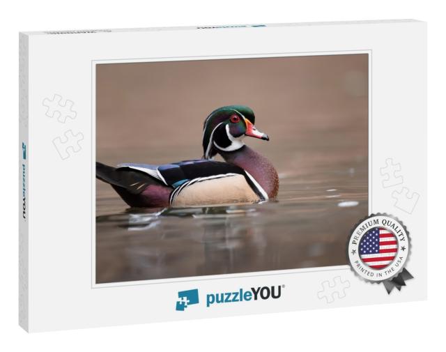 A Wood Duck in Pennsylvania... Jigsaw Puzzle