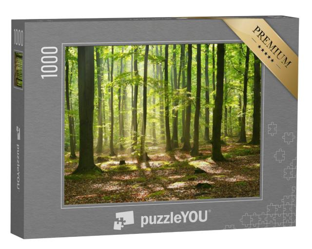 Puzzel 1000 stukjes „Herfstschemering in een mystiek betoverd bos“