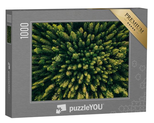 Puzzel 1000 stukjes „Vogelvlucht van een naaldbos“