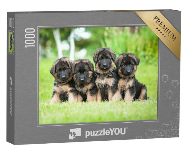 Puzzel 1000 stukjes „Vier kleine Duitse herder puppy's“