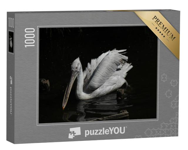 Puzzel 1000 stukjes „Pelikaan“