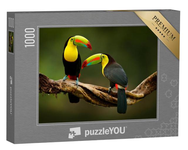 Puzzel 1000 stukjes „Toekan zittend op een tak in het bos, prachtige vegetatie van Costa Rica“