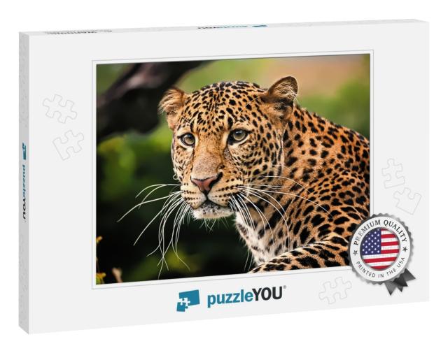 The Portrait of Javan Leopard... Jigsaw Puzzle