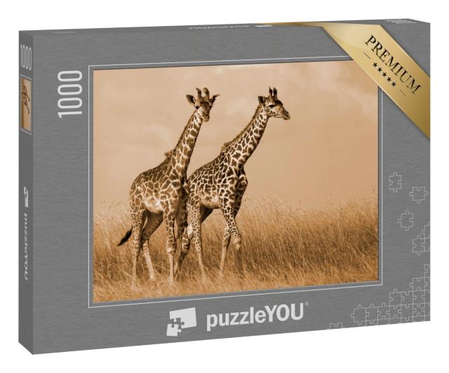 Puzzle 1000 Teile „Giraffenpaar beim Spaziergang“