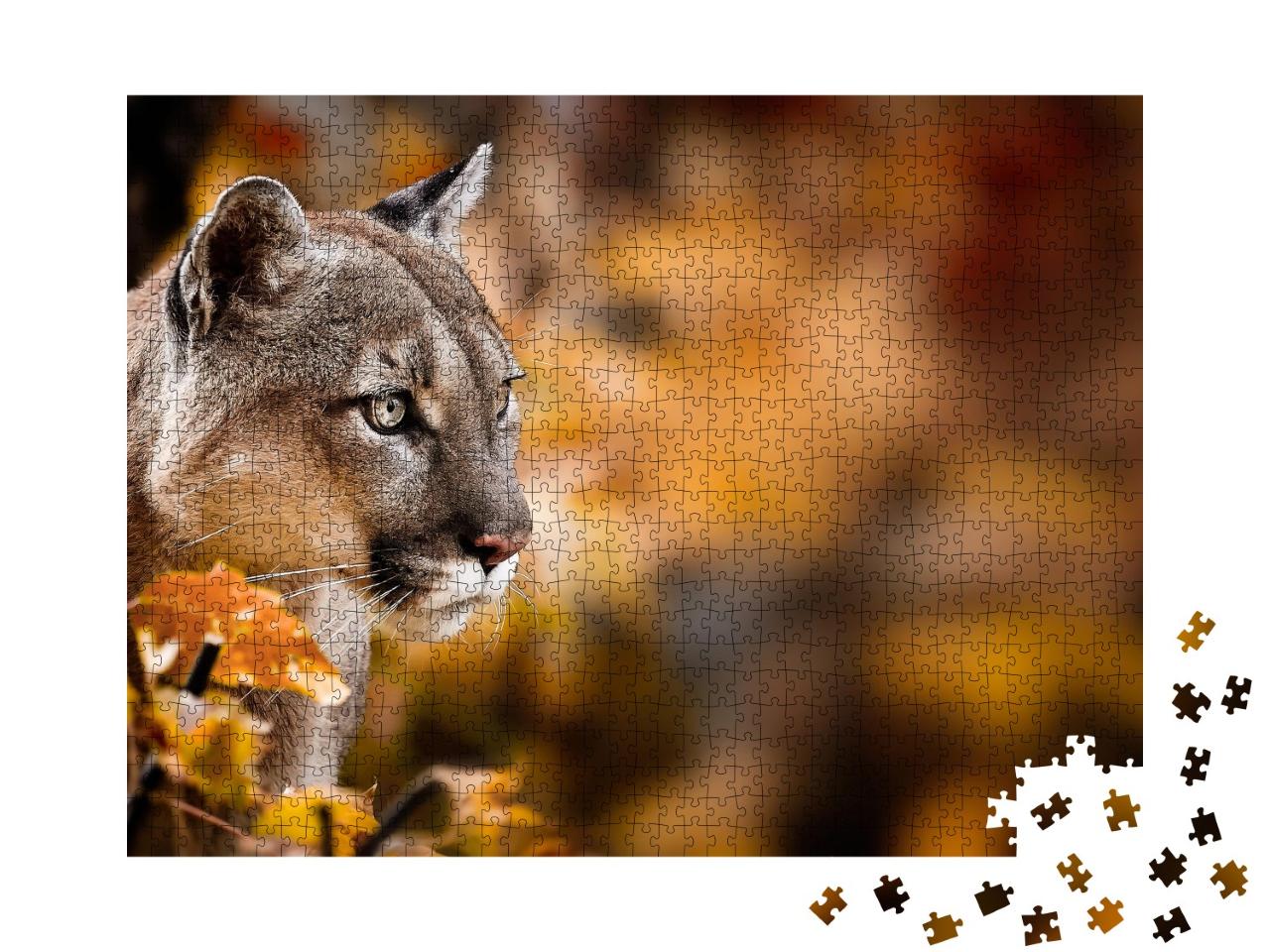 Puzzle 1000 Teile „Aufmerksamer Puma, auch bekannt als Berglöwe“