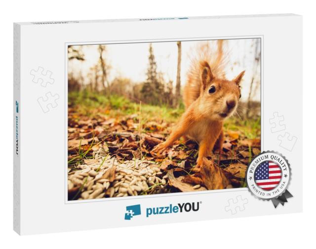 Squirrel Red Fur Funny Pets Autumn Forest on Background W... Jigsaw Puzzle