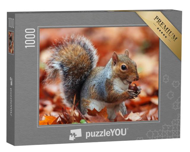 Puzzel 1000 stukjes „Eekhoorn in de herfst met eikel“