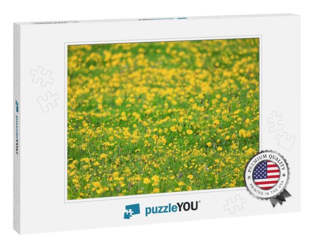 Yellow Dandelion Field Background, Abstract Panorama Yell... Jigsaw Puzzle