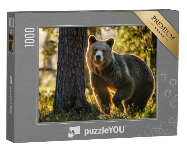 Puzzel 1000 stukjes „Bruine beer in het zomerbos“