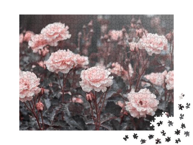 Puzzle 1000 Teile „Zarte rosa Rosen im Garten “