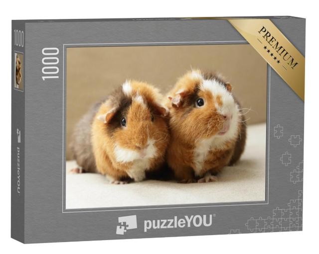 Puzzel 1000 stukjes „Twee schattige cavia's“