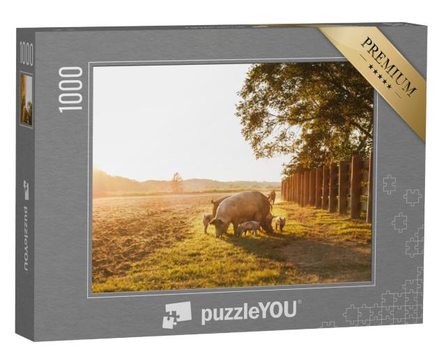 Puzzel 1000 stukjes „Gedomesticeerd varken met biggen in een weide“