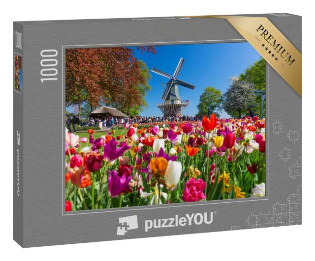 Puzzle „Tulpengarten und Windmühe in Lisse, Holland, Niederlande“
