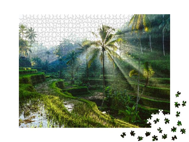 Puzzle 1000 Teile „Sonnenstrahlen über balinesischen Reisterrassen“