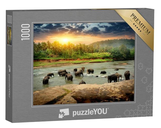 Puzzel 1000 stukjes „Kudde olifanten badend in de jungle van Sri Lanka“