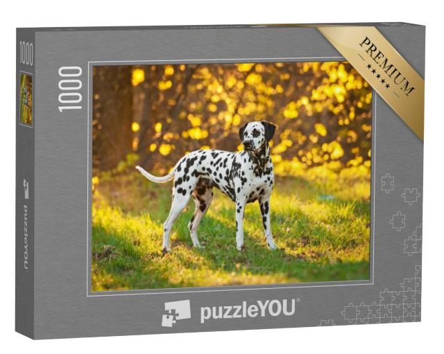 Puzzel 1000 stukjes „Dalmatiërs bij zonsondergang“