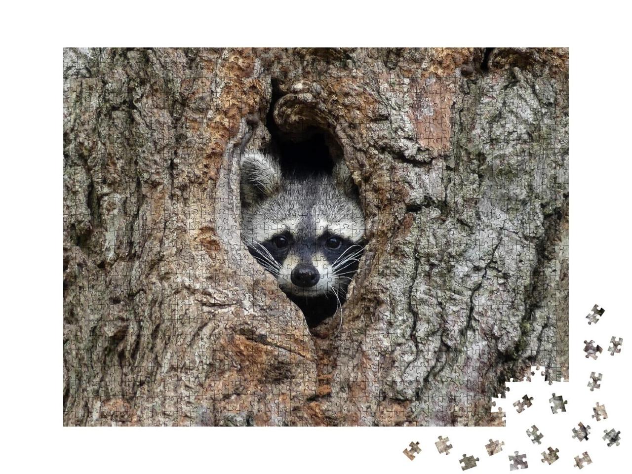Puzzle 1000 Teile „Niedlicher Waschbär in seinem Baum-Versteck“