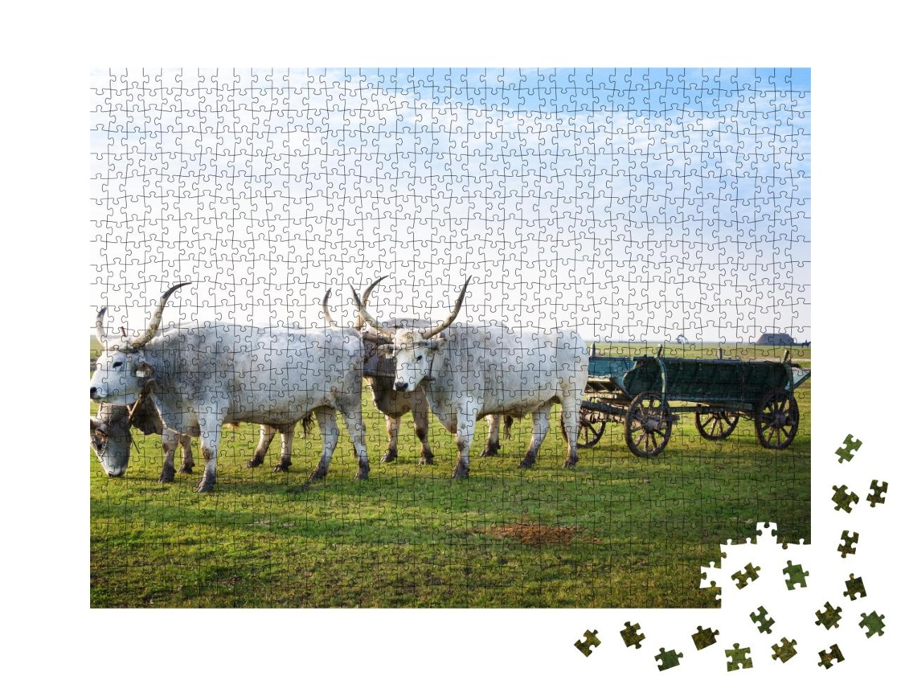 Puzzle 1000 Teile „Hortobagy National Park, Ungarn“