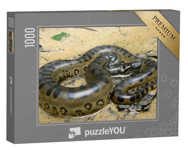 Puzzel 1000 stukjes „Groene anaconda“