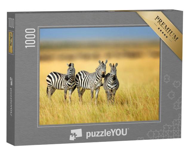 Puzzel 1000 stukjes „Drie zebra's in het Keniaanse nationale park“