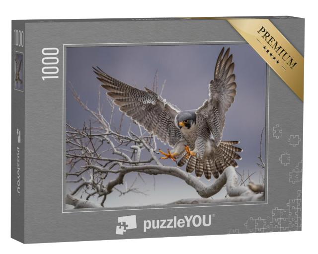 Puzzel 1000 stukjes „Slechtvalk landend op een tak“