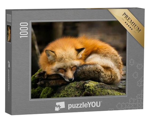 Puzzel 1000 stukjes „Slapende rode vos“