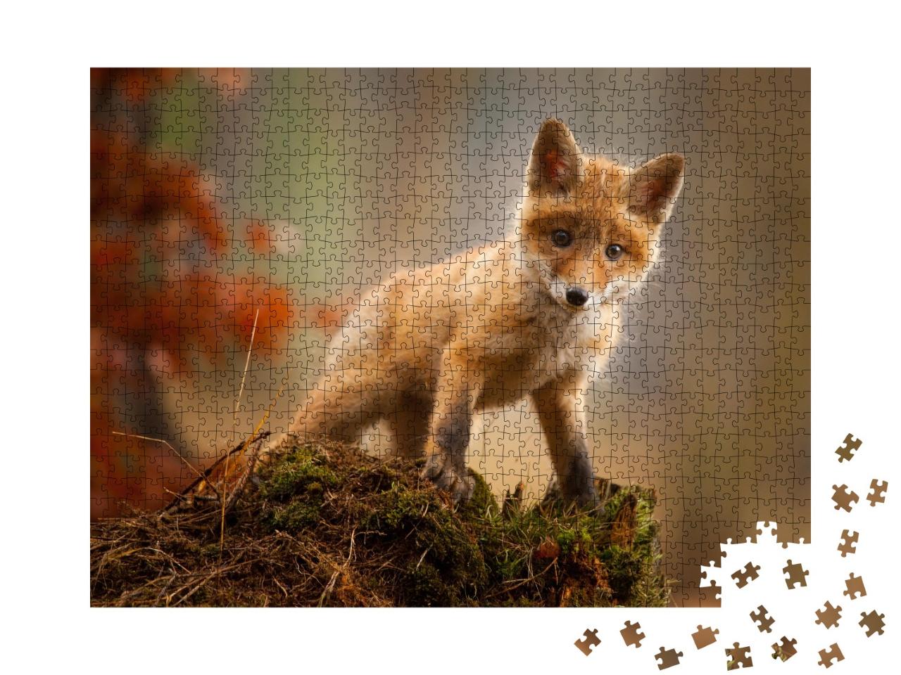 Puzzle 1000 Teile „Ein junger Fuchs“