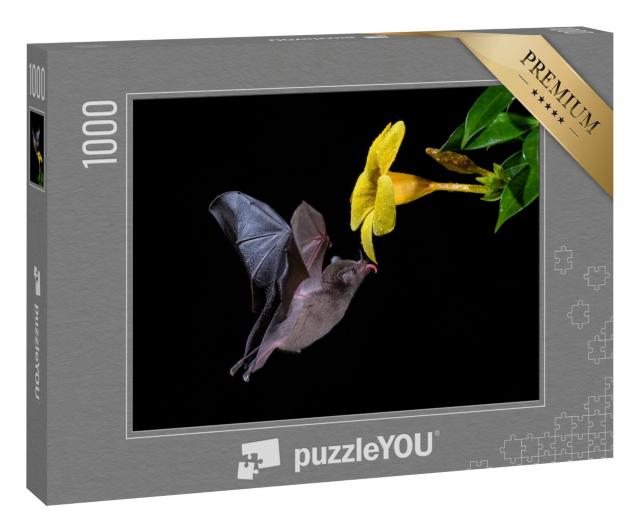 Puzzle 1000 Teile „Pallas-Langschwanzfledermaus beim Genuss von Blütennektar“
