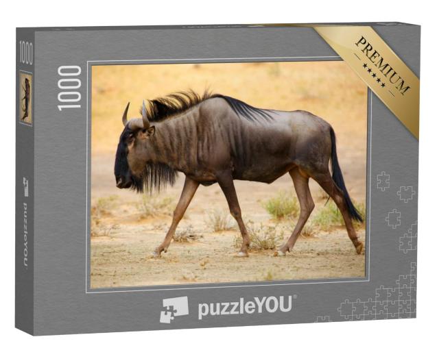 Puzzel 1000 stukjes „Blauwe gnoes in de Kalahari-woestijn“