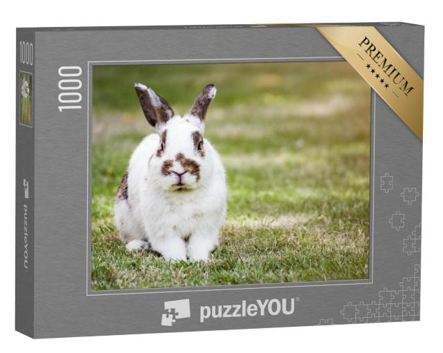 Puzzel 1000 stukjes „Schattig gevlekt konijn op groen gras“