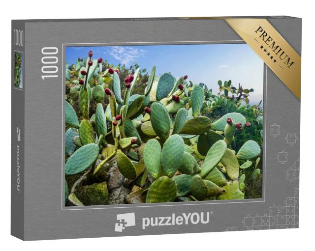 Puzzel 1000 stukjes „Cactusveld bij Mexico-stad“