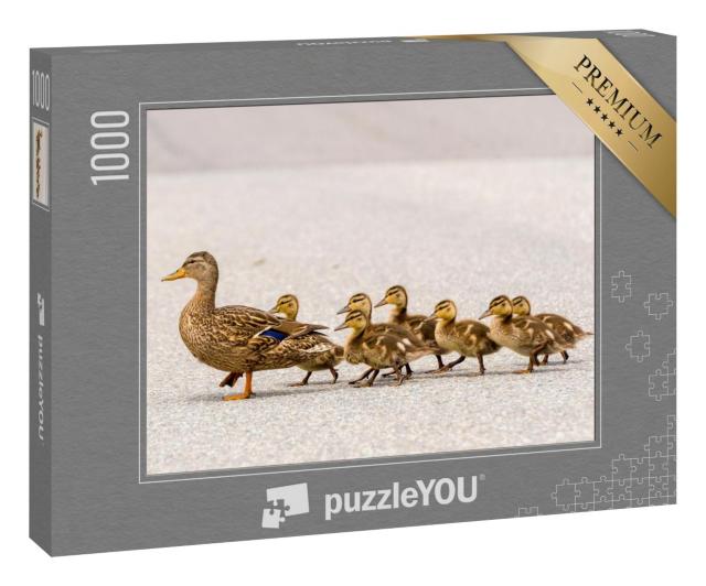 Puzzle 1000 Teile „Eine Entenmutter und ihre Entenküken überqueren in einer Reihe eine Straße“