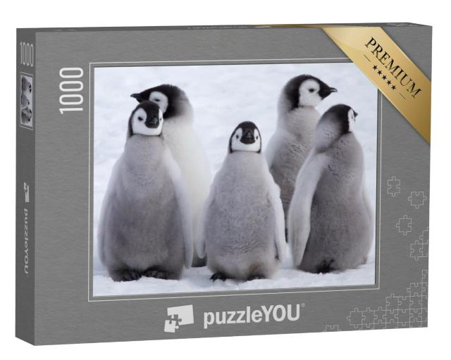 Puzzel 1000 stukjes „Keizerspinguïn kuikens in Antarctica“